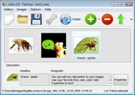 Flash Image Gallery Creator Javascript Flash Slideshow