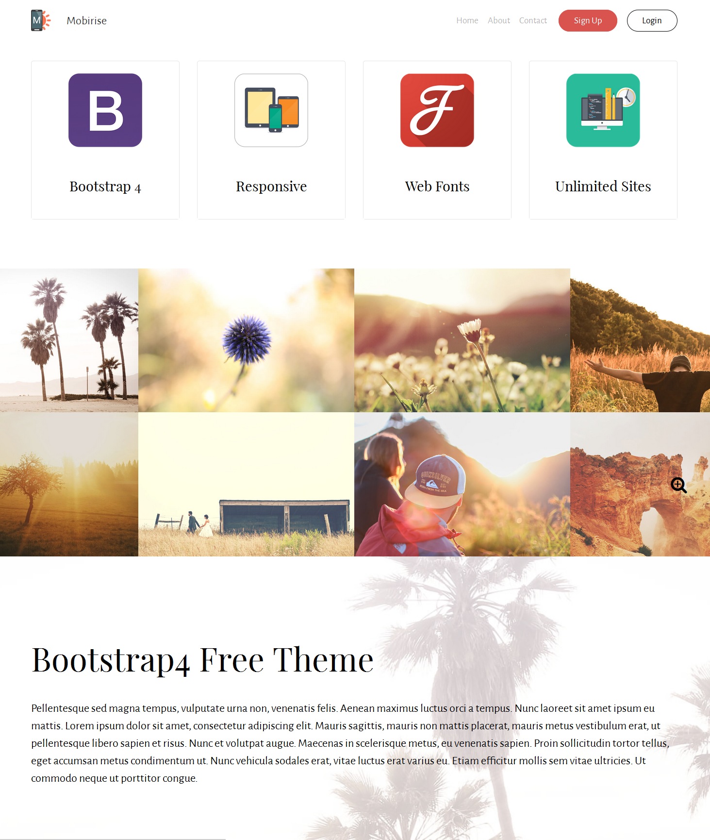 Free Bootstrap Design Theme