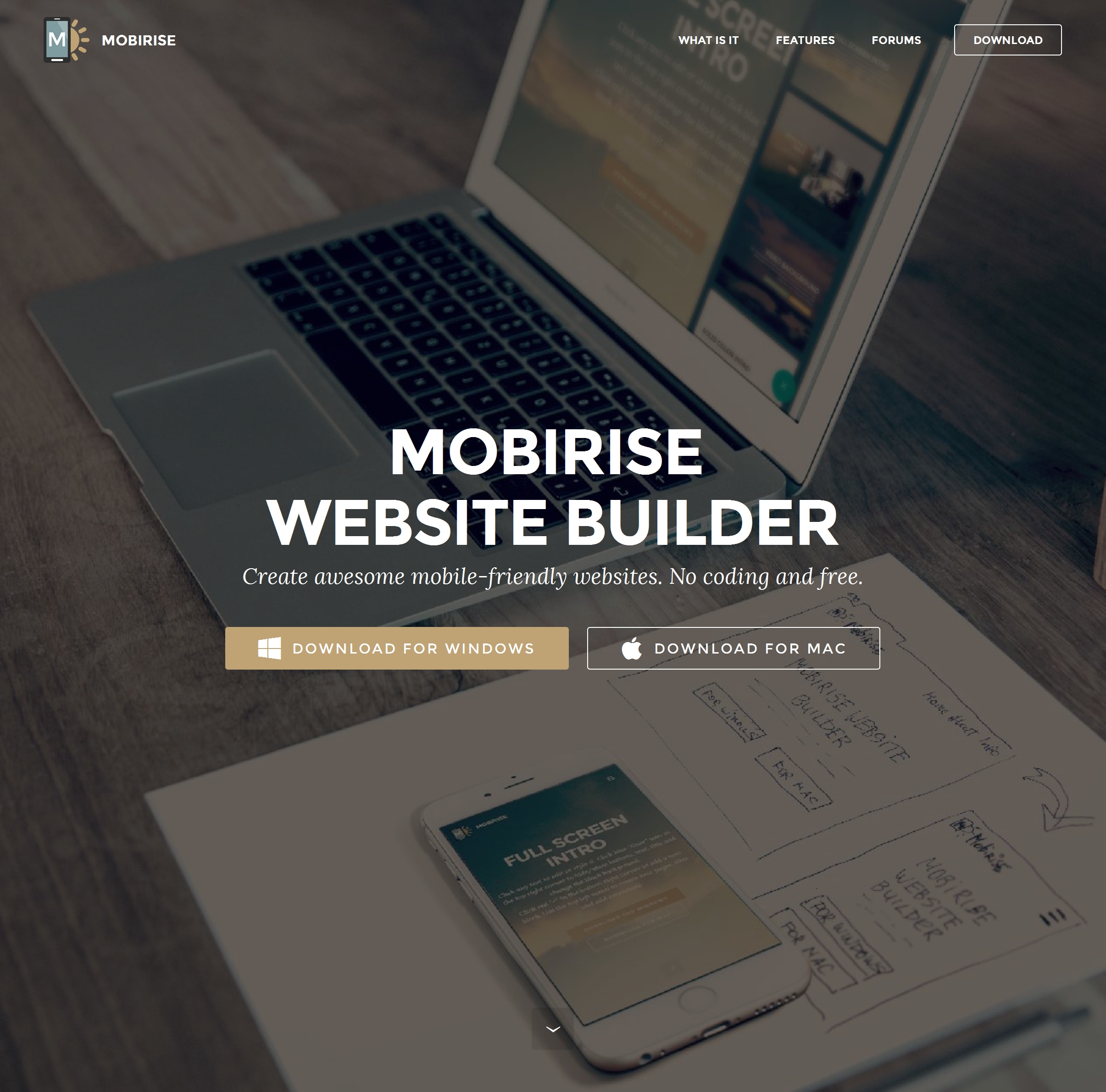 Top  Website Builder 