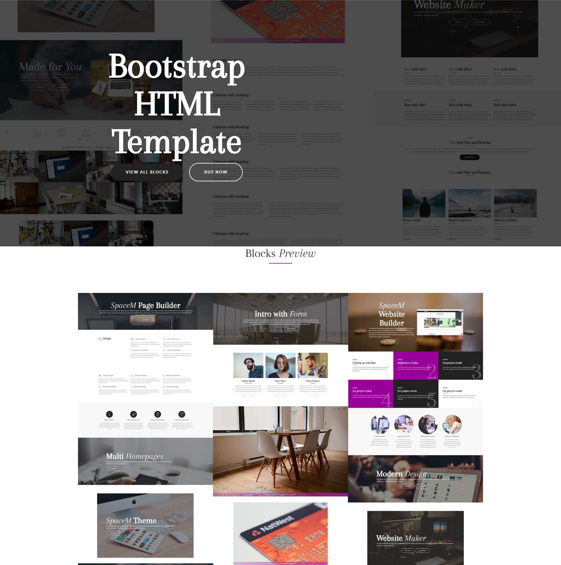 HTML5 Bootstrap SpaceM Templates